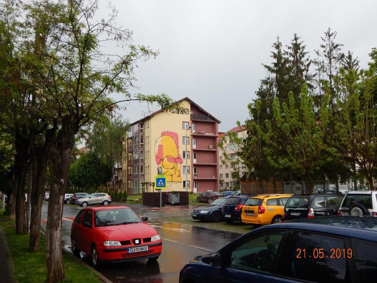 Sibiu Home 1 المظهر الخارجي الصورة